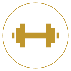 Gymnasium